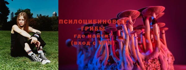 бошки Алексеевка