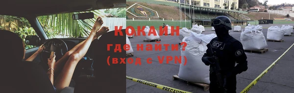 шишки Абинск