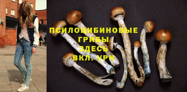 гидра Алзамай
