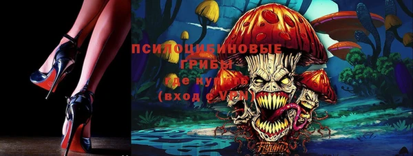 ECSTASY Новокубанск