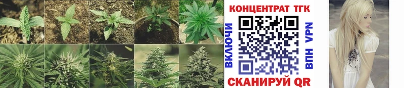цены наркотик omg tor ТГК вейп Яблоновский