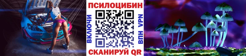 купить Яблоновский Галлюциногенные грибы Psilocybine cubensis